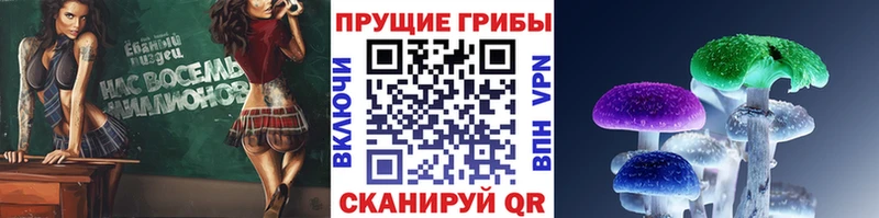 Галлюциногенные грибы мухоморы  KRAKEN ССЫЛКА  Всеволожск 