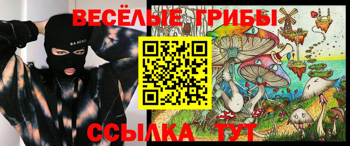 Галлюциногенные грибы ЛСД  Вход с VPN  Всеволожск 